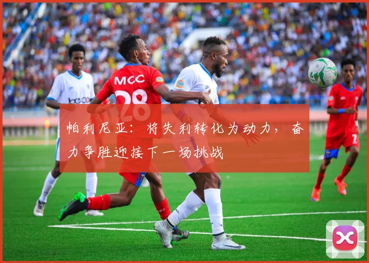帕利尼亚：将失利转化为动力，奋力争胜迎接下一场挑战