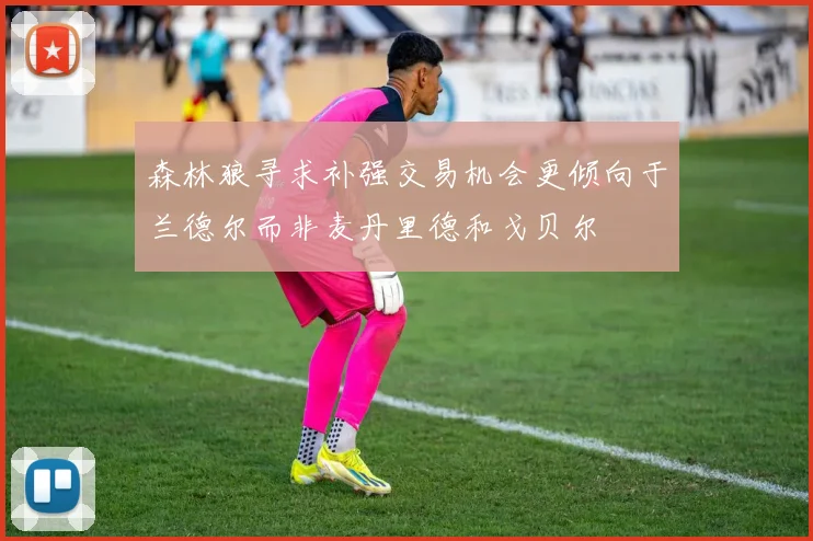 森林狼寻求补强交易机会更倾向于兰德尔而非麦丹里德和戈贝尔
